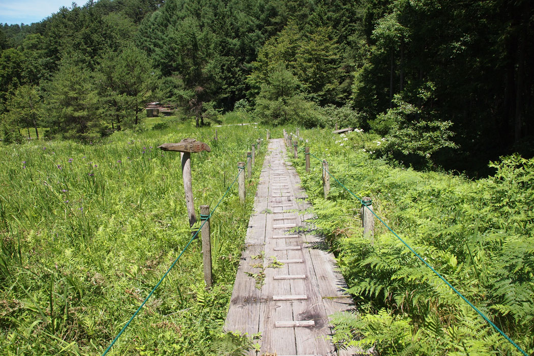 諏訪市有賀峠にある矢ノ沢湿原、ザゼンソウで有名のようです　この日は人はだれもいませんでした